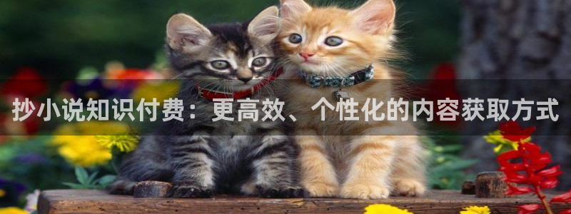 爱去小说网txt下载网站