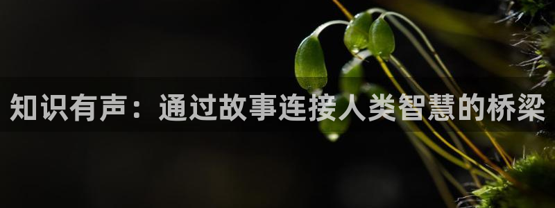 爱去小说网官方网站进入